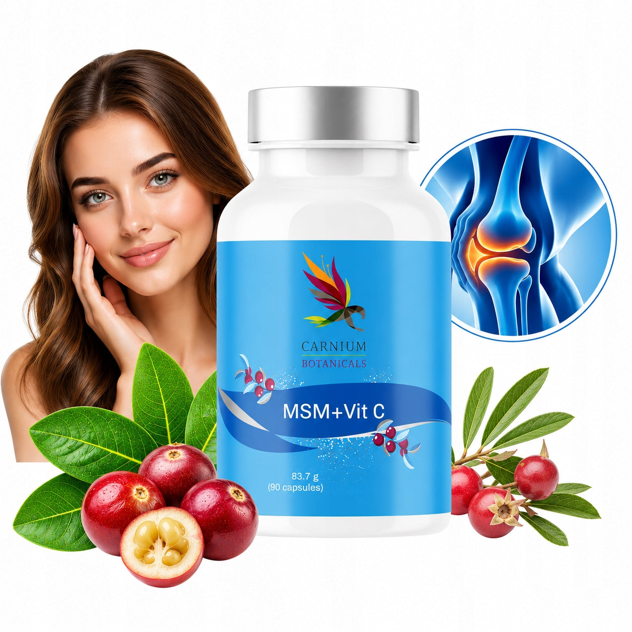 Organic sulfur PAIN INFLAMMATION OF THE JOINTS IMPROVING MOBILITY MSM wit C