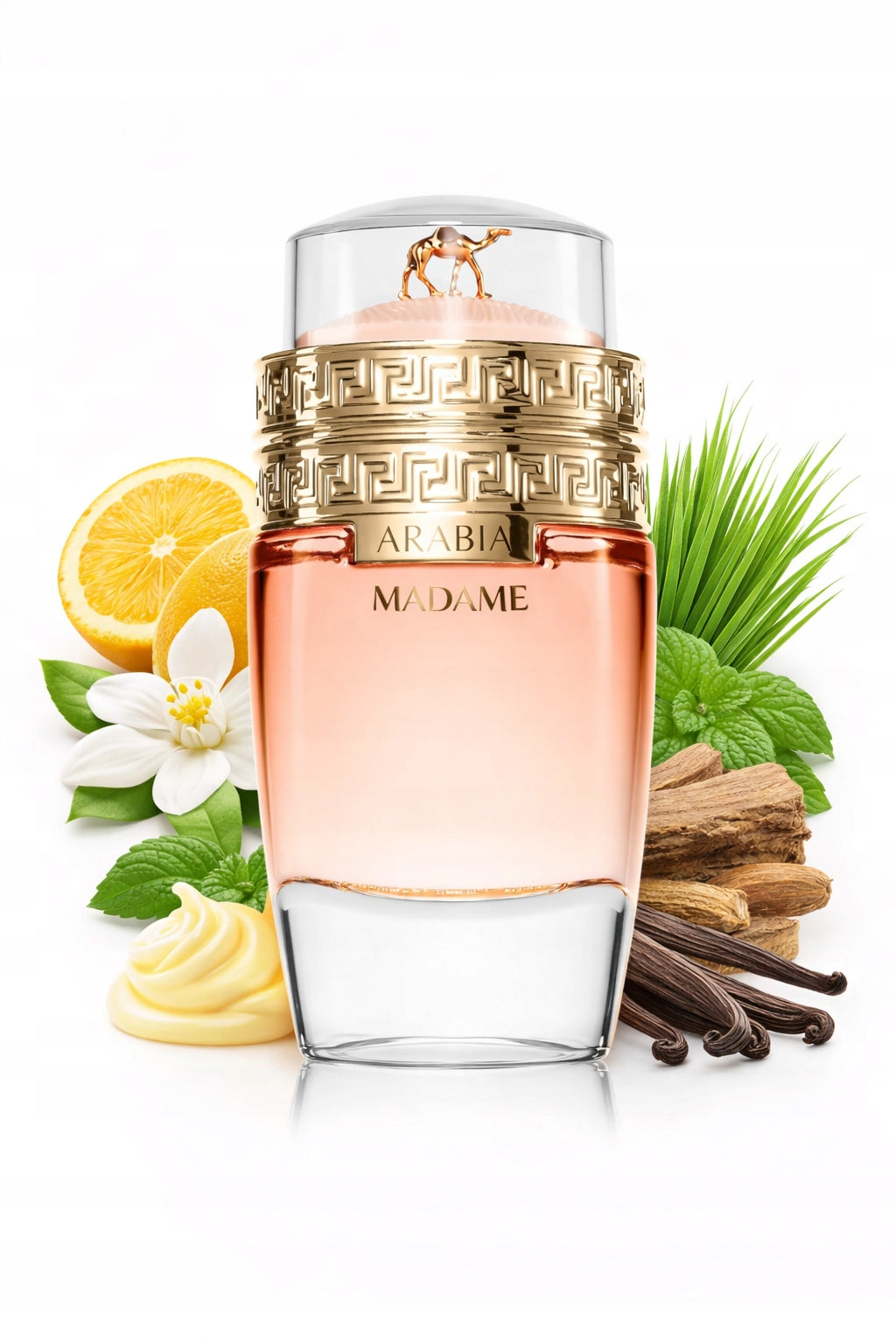 Original Arabic Set Le Chameau Arabia MADAME 100ml EDP+100ml Mist Packaging status original