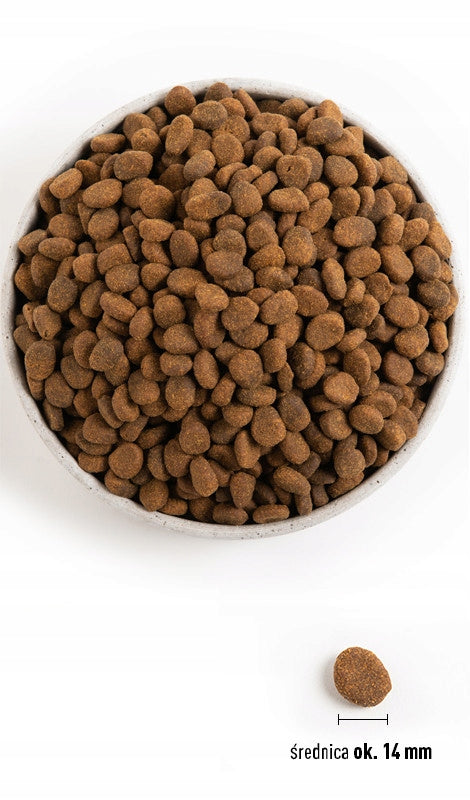 Orijen Regional Red Dog 2kg Packaging status original