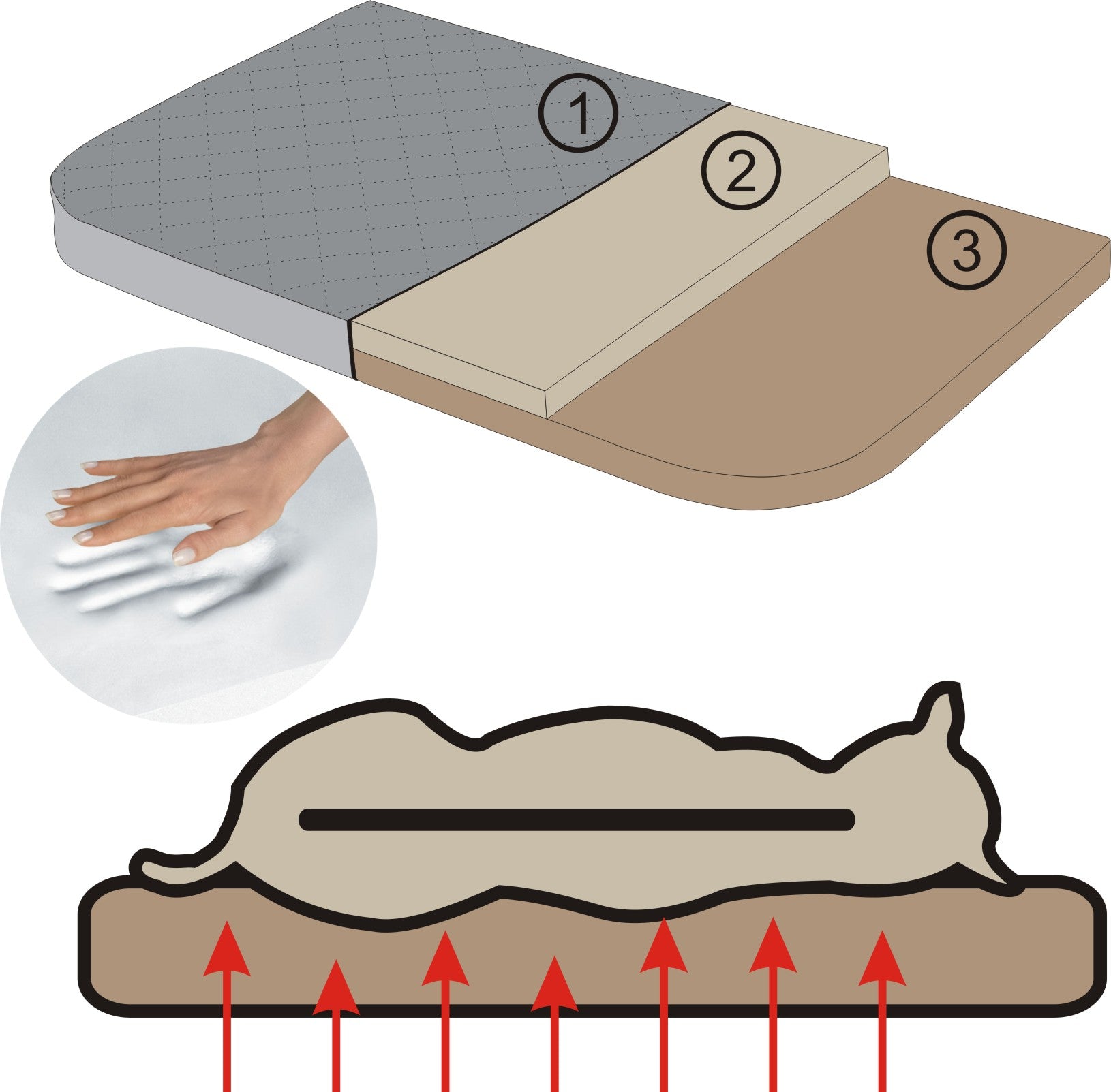Orthopedic Bed - Dog Bed, Thick Mattress - 94 cm x 62 cm Color gray