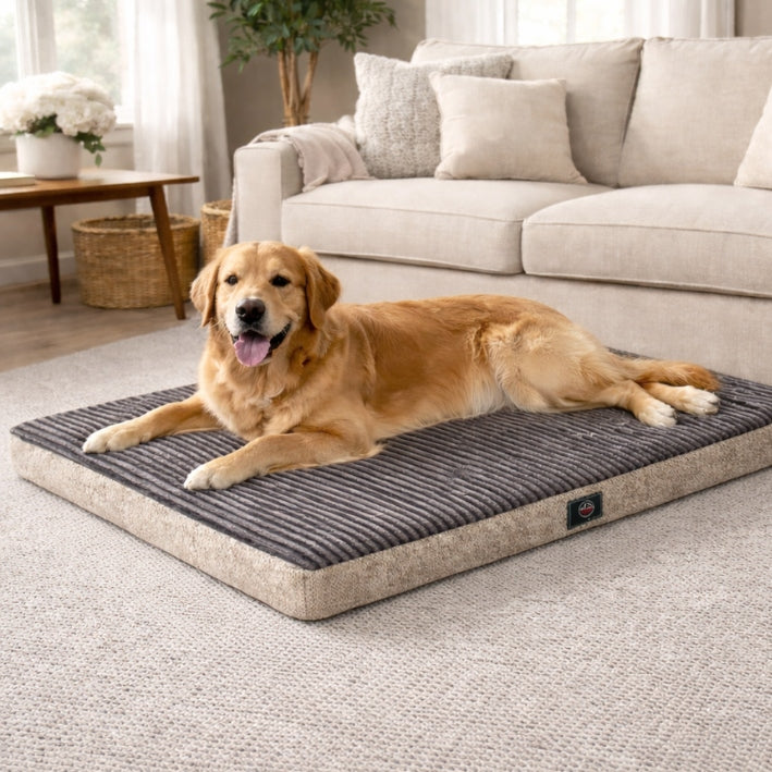 Orthopedic Dog Bed OrthoDream Mattress with Foam Egg Crate 76x46 Kind orthopedic pet bed