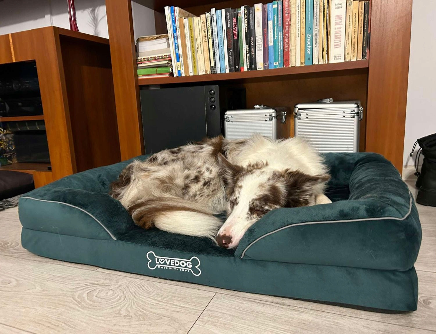 Orthopedic Dog Bed Waterproof Large, L 90x60 OrtoMax Length 90 cm