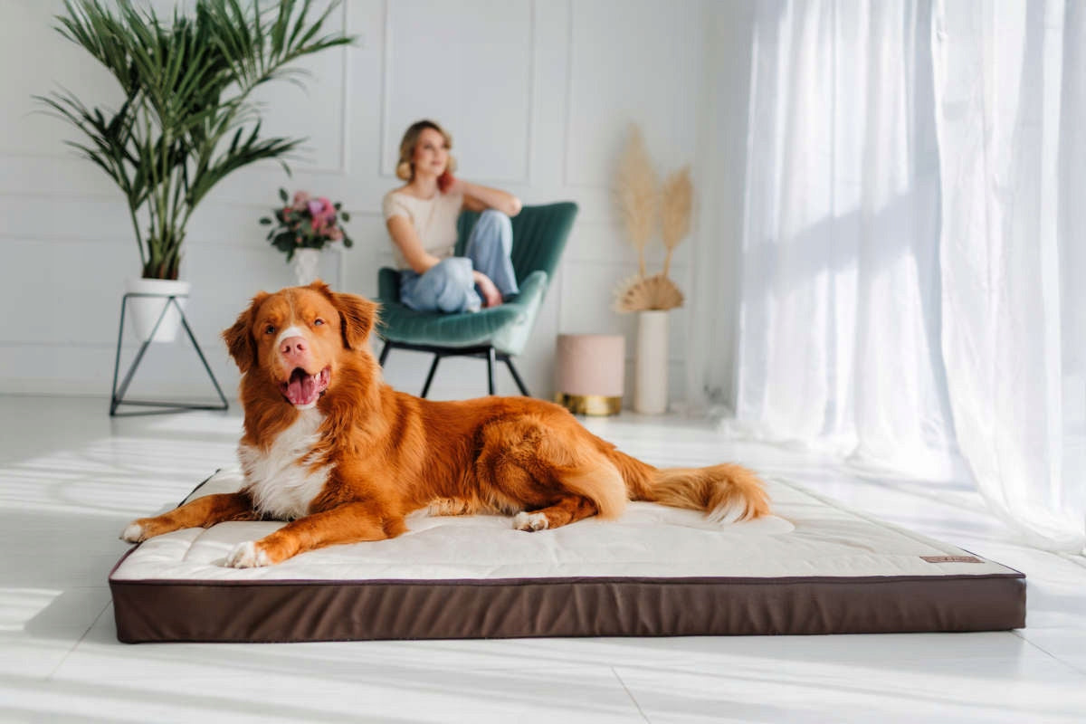 Orthopedic mattress 130x90 beige Manufacturer code 709