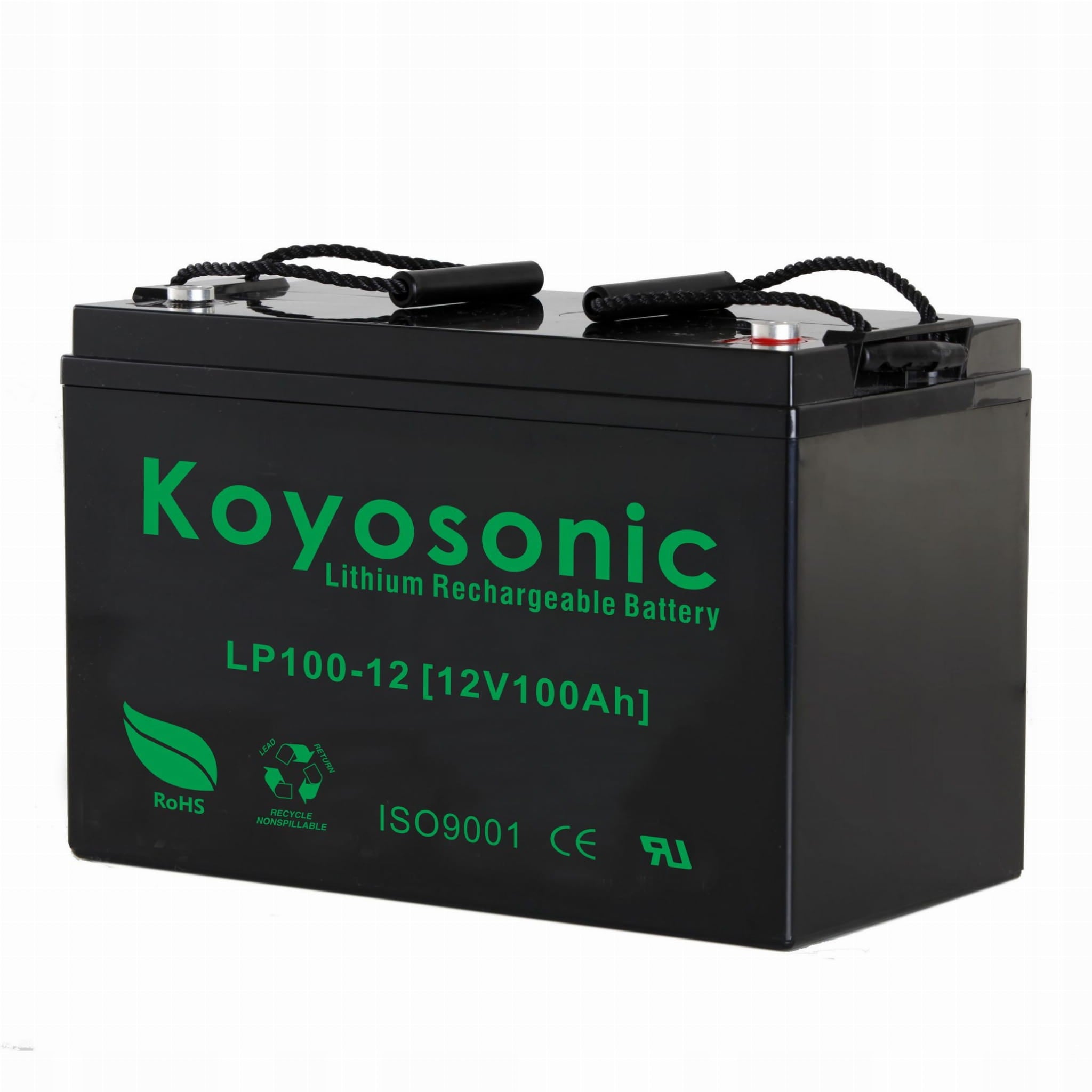 Outboard Electric Motor Kit Haibo R300S LiFePO4 100Ah Batteries Manufacturer code R300S + Koyo LifePo4 + KT-04 + DL-1200