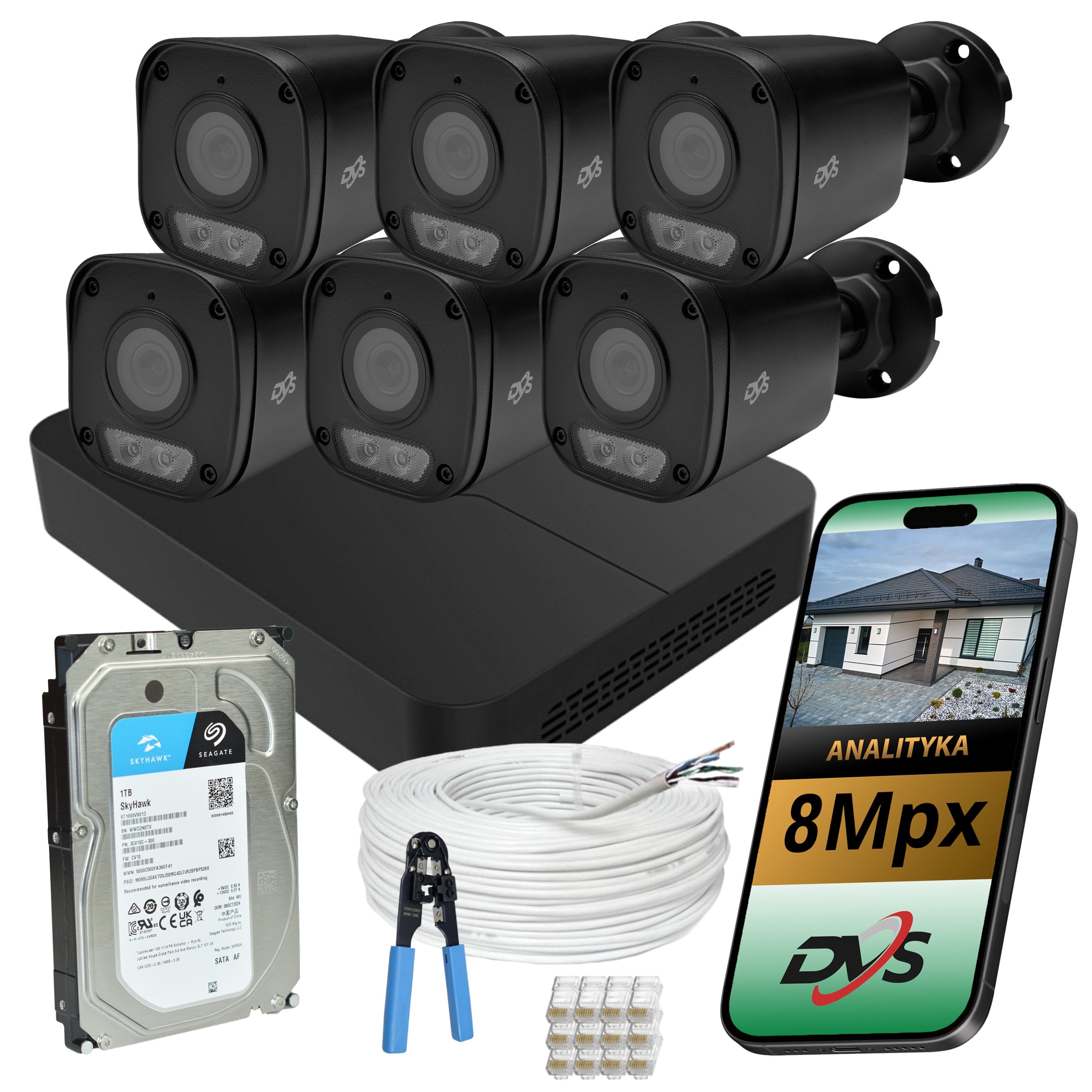 Outdoor home surveillance 6 cameras IP PoE IR 8Mpx drive 1TB analytics DVS