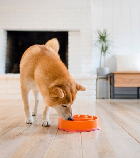 Outward Hound Fun Feeder Mini Orange Slowing Bowl [51004] Product weight with unit packaging 0.15 kg