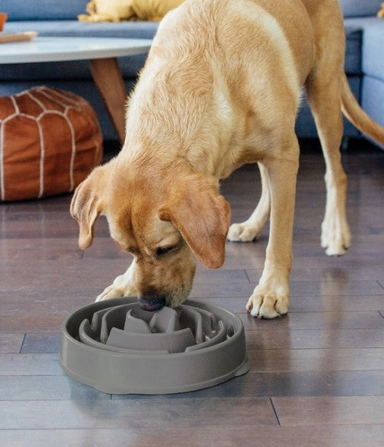 Outward Hound Fun Feeder Slow Bowl Grey [69892] Brand no brand