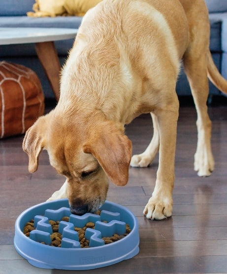 Outward Hound Fun Feeder Slowing Bowl Blue [67831] Product weight with unit packaging 0.7 kg
