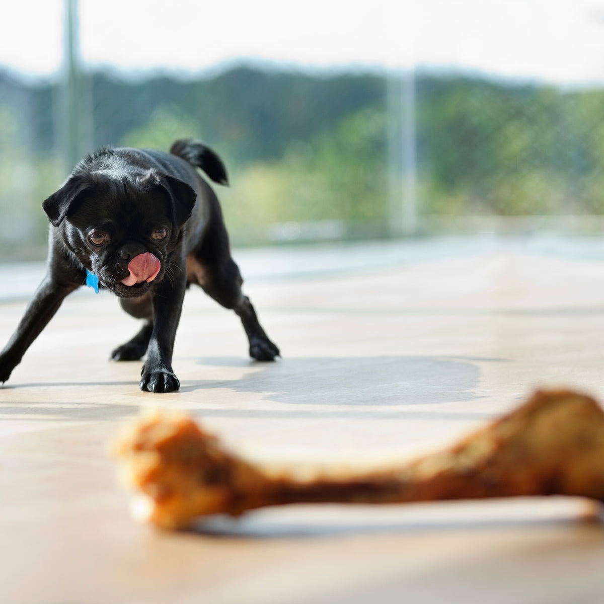PAKO DOG TREAT BEEF BONE WITH LEGS DRIED WITH MEAT FOR LONG HOURS Manufacturer code 5905261372352