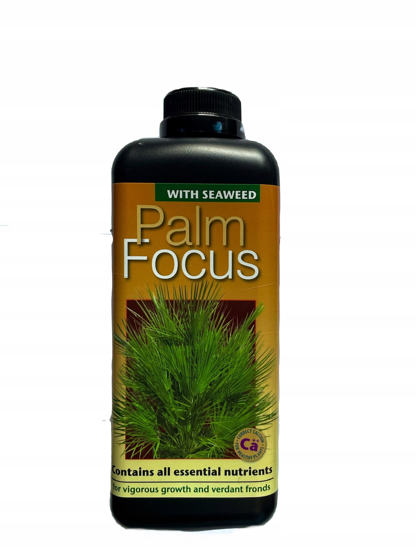 PALM FOCUS 1L Growth Technology palm fertilizer perfectly balanced Fertilizer type multicomponent