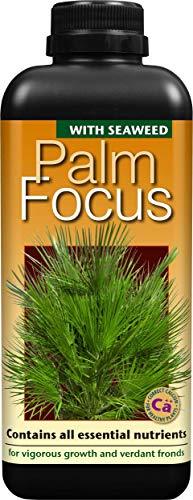 PALM FOCUS 1L Growth Technology palm fertilizer perfectly balanced Manufacturer code 87136