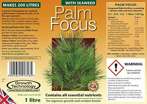 PALM FOCUS 1L Growth Technology palm fertilizer perfectly balanced Volume 1 l