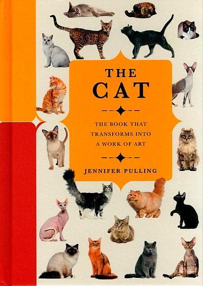 Paperscapes: The Cat
