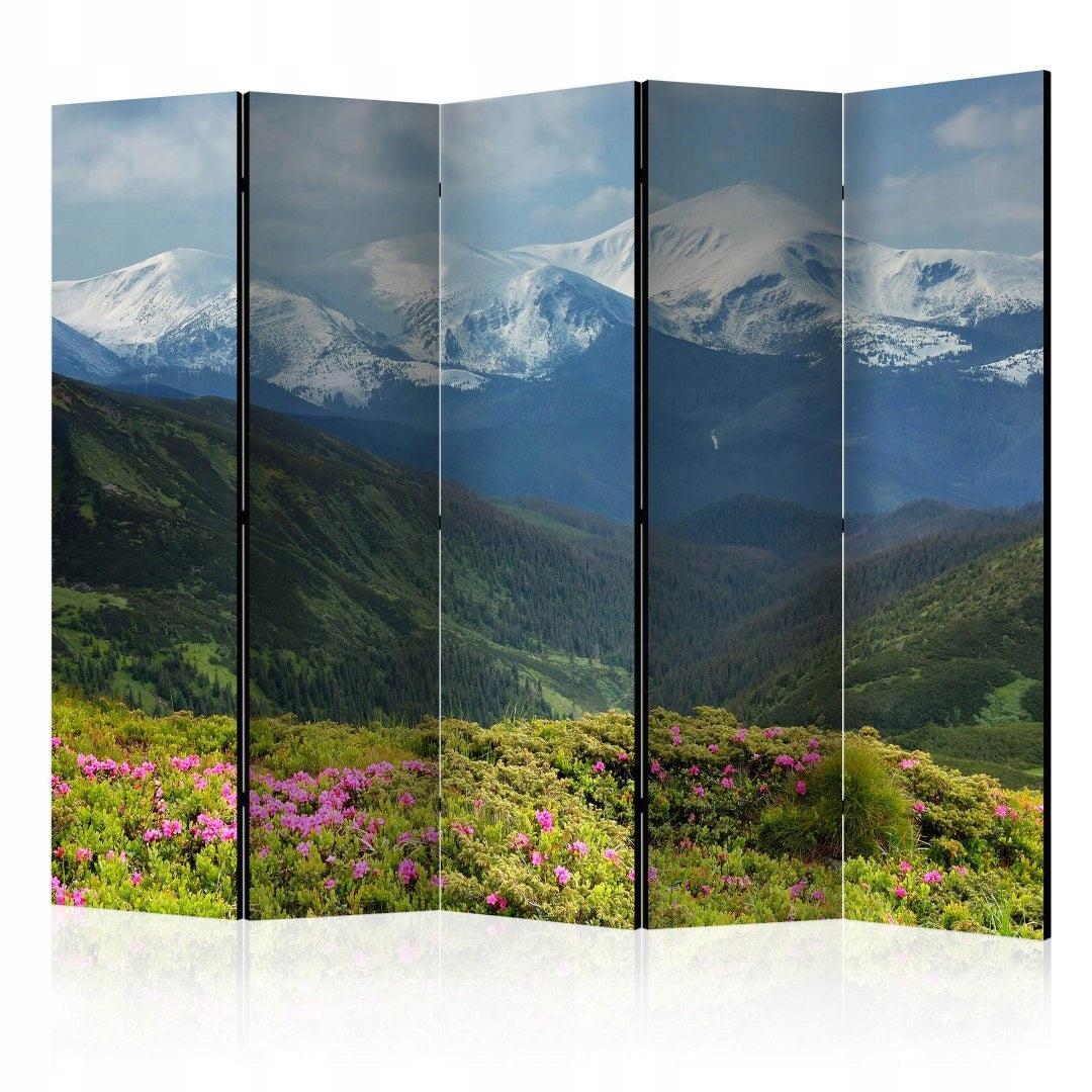 Partition Frühlingsgebirgslandschaft 
