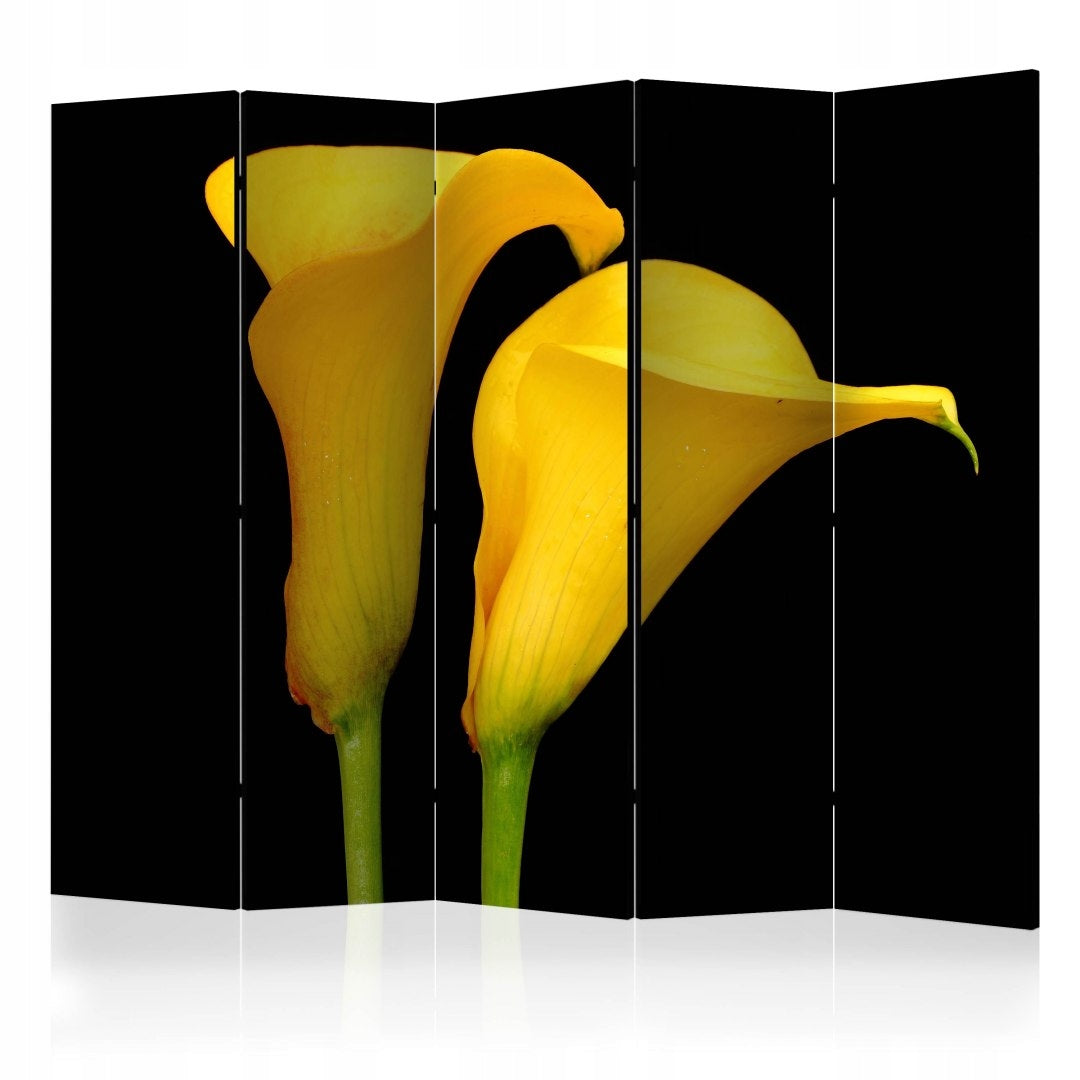 Raumteiler - Zwei gelbe Calla-Blüten auf schwarzem Hintergrund [Raumteiler] 