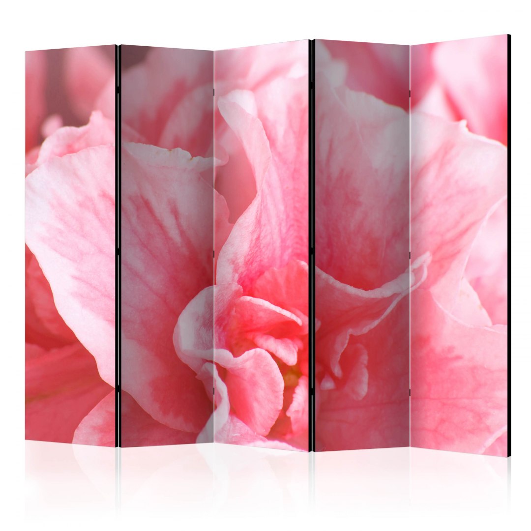 Teilen Sie rosa Azaleenblüten 