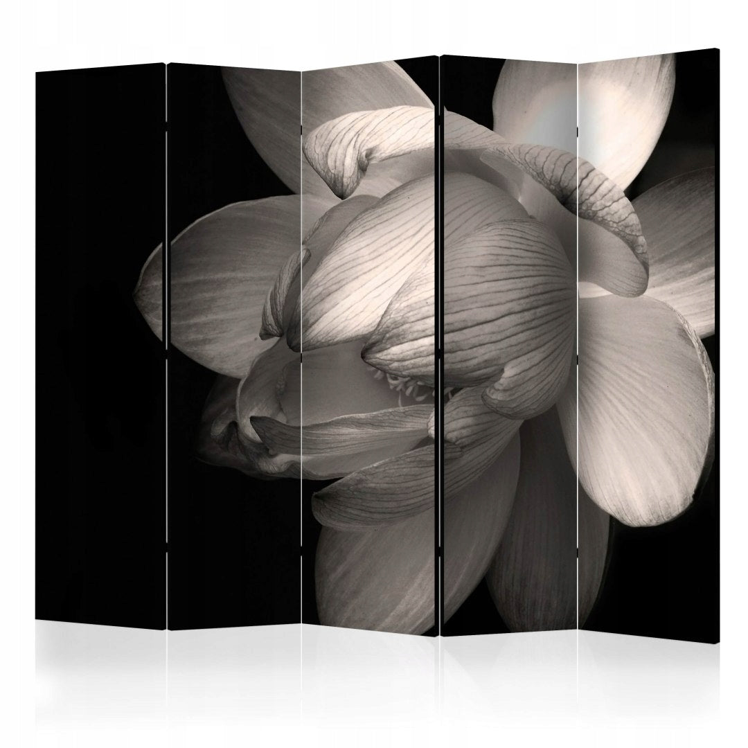 Partition Lotusblume 