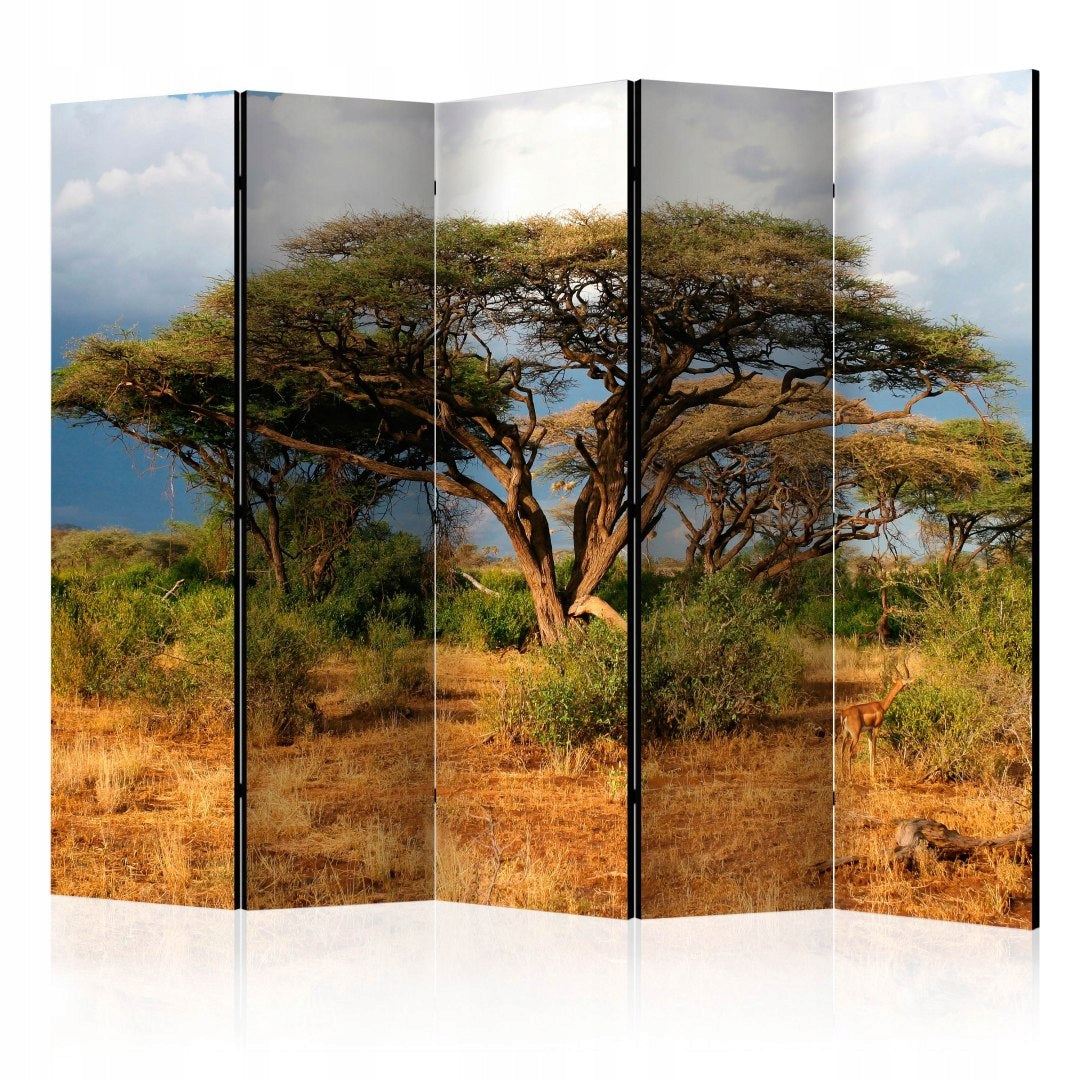 Barriere im Samburu National Reserve, Kenia 