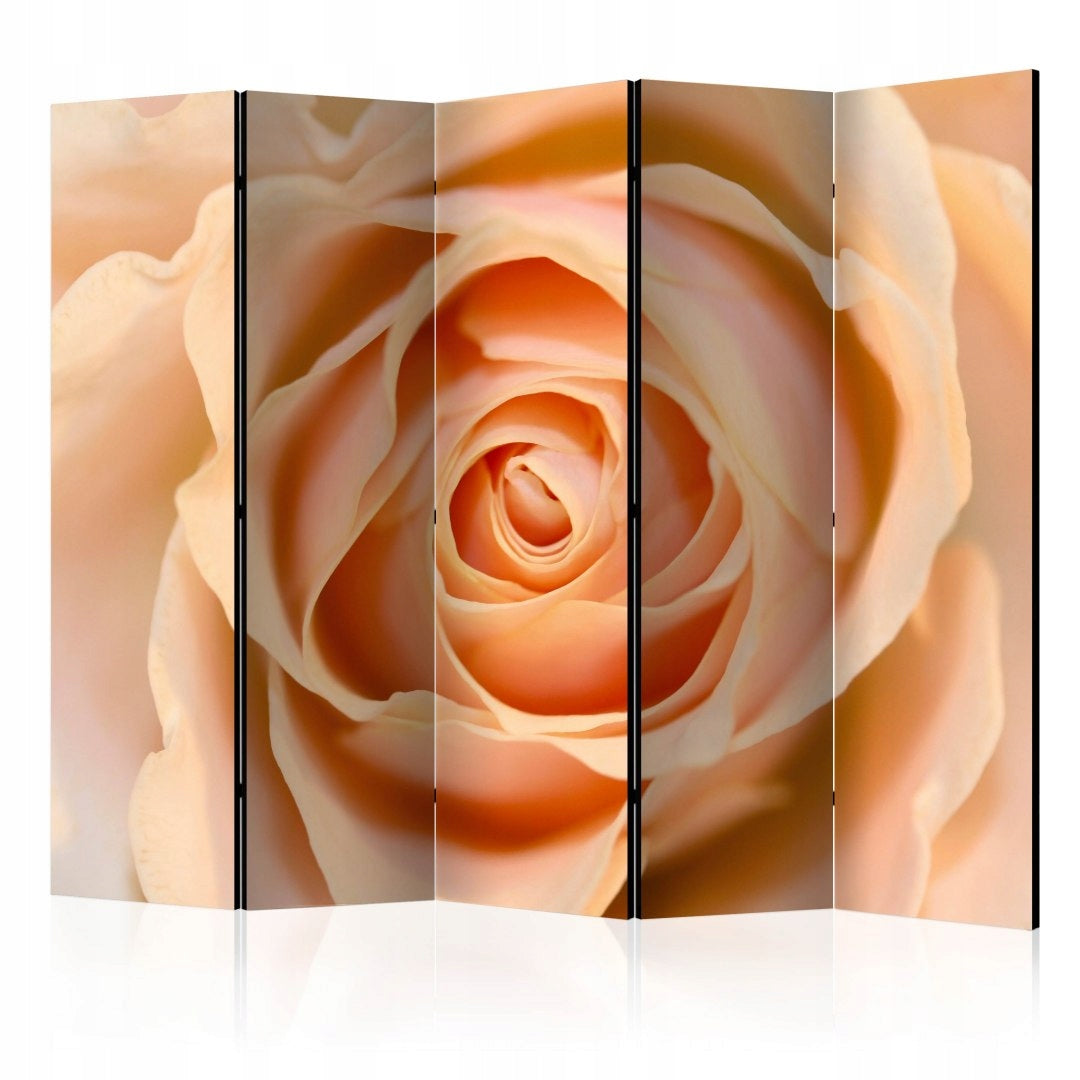 Trennwand Pfirsichfarbene Rose 