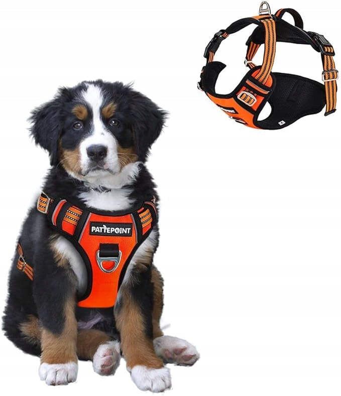 PATTEPOINT Dog Harness Adjustable Pressure-Free Guard with Handle Strong r. S