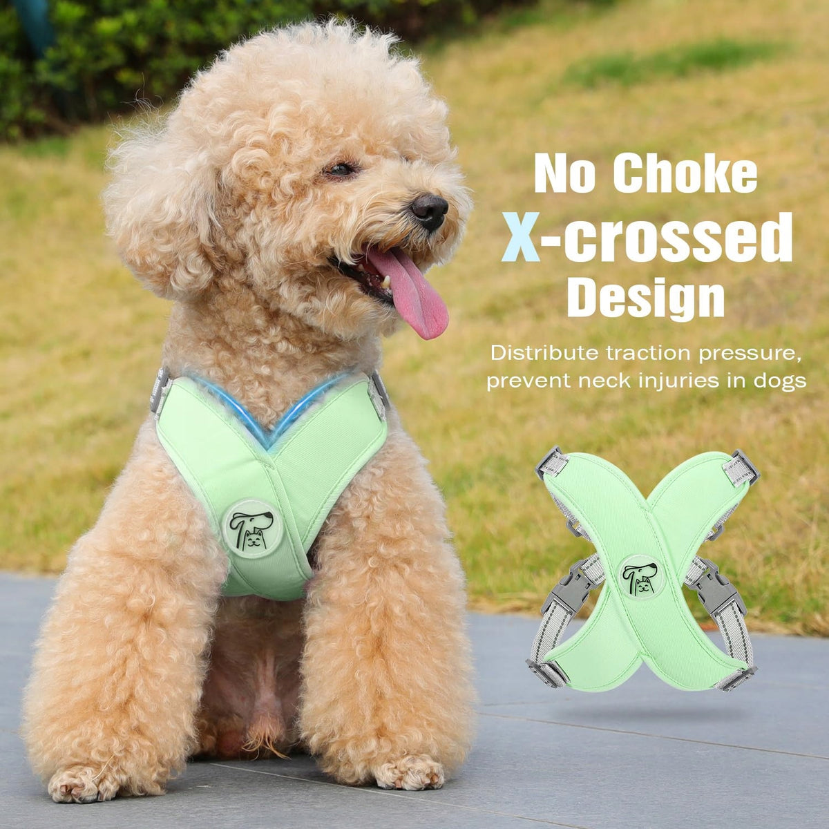 PAWABOO Dog Harness with Lanyard Adjustable Anti-String S Mint Green Packaging status original