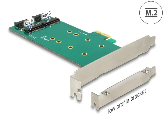 PCIe x1 2x M.2 Key B Low Profile Delock 89473