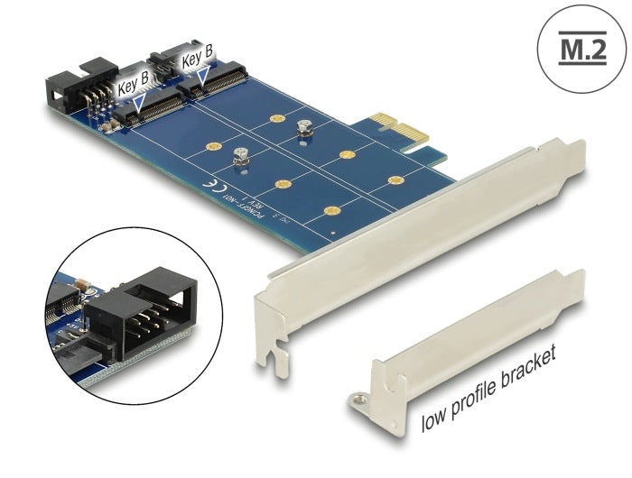PCIe x1 2x M.2 NGFF Delock 89374