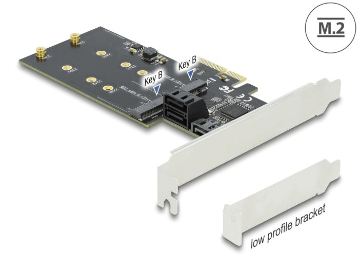 PCIe x4 3x SATA + 2x M.2 Key B Low Profile Delock 90499