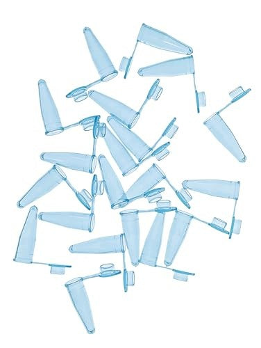 PCR TUBES 0 2ML BLUE POLYPROPYLENE 1000PCS LABORATORY FOR HOME Brand no brand