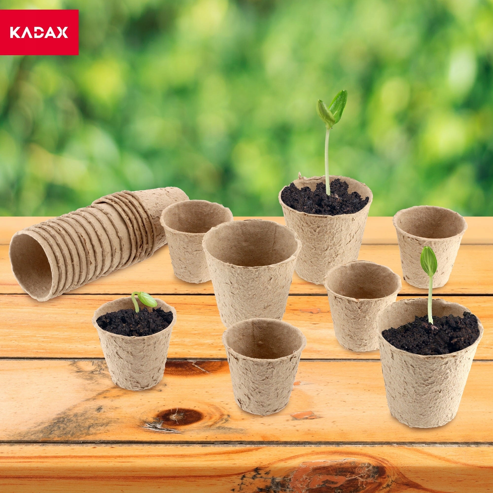 PEAT SEEDLINGS BIODEGRADABLE SEEDLINGS 6,7x6 cm 60 pcs Length 6.7 cm