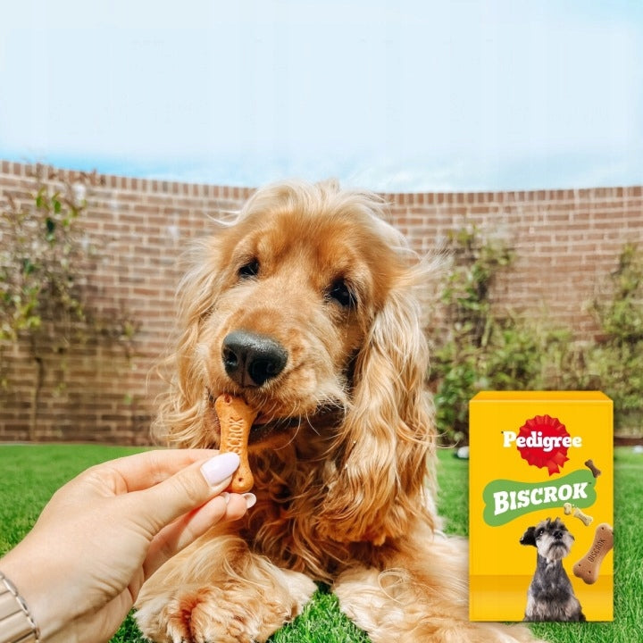 PEDIGREE BISCROK - MULTI MIX, 200G Volume 0 ml