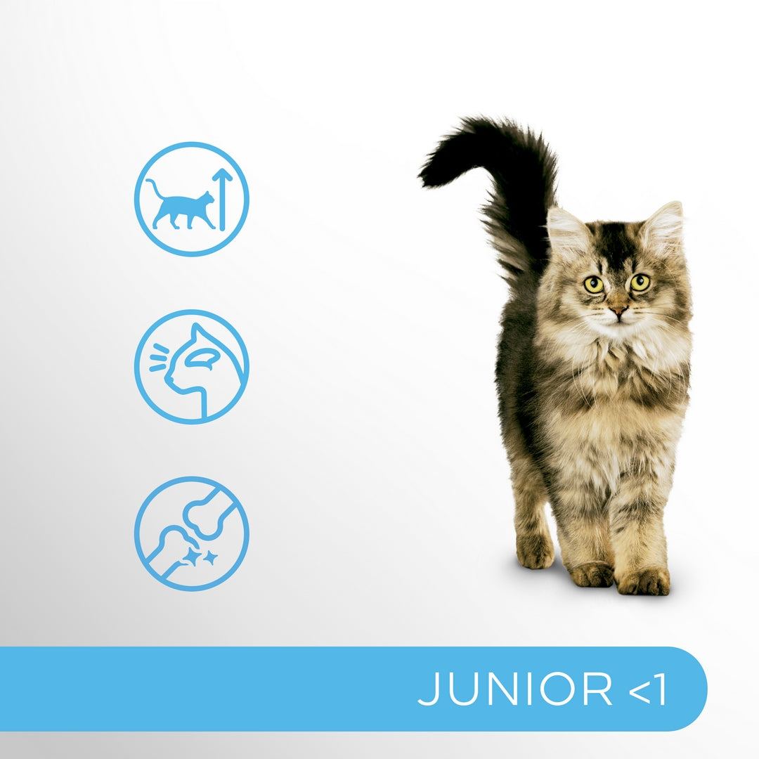 PERFECT FIT JUNIOR WITH CHICKEN CAT FOOD 7kg Brand Perfect Fit