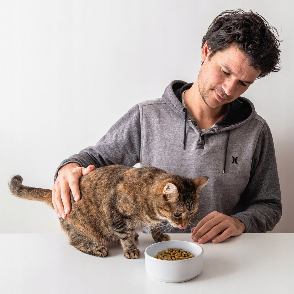 PERFECT FIT SENSITIVE TURKEY-RICH DRY CAT FOOD - 7KG Manufacturer code 4008429104480