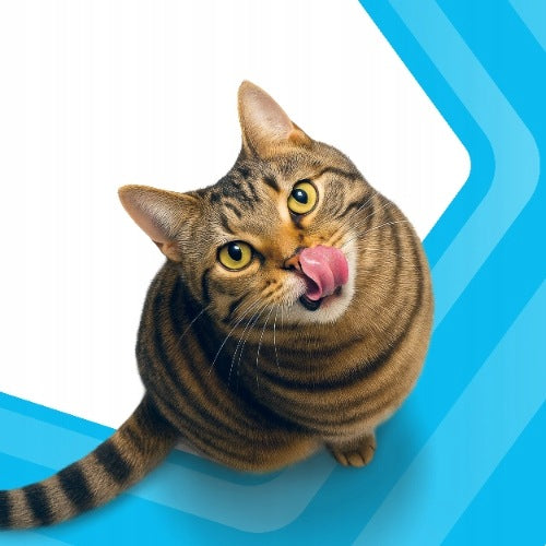 PERFECT FIT Sterile dry cat food after sterilization with chicken 2,8kg Packaging status original