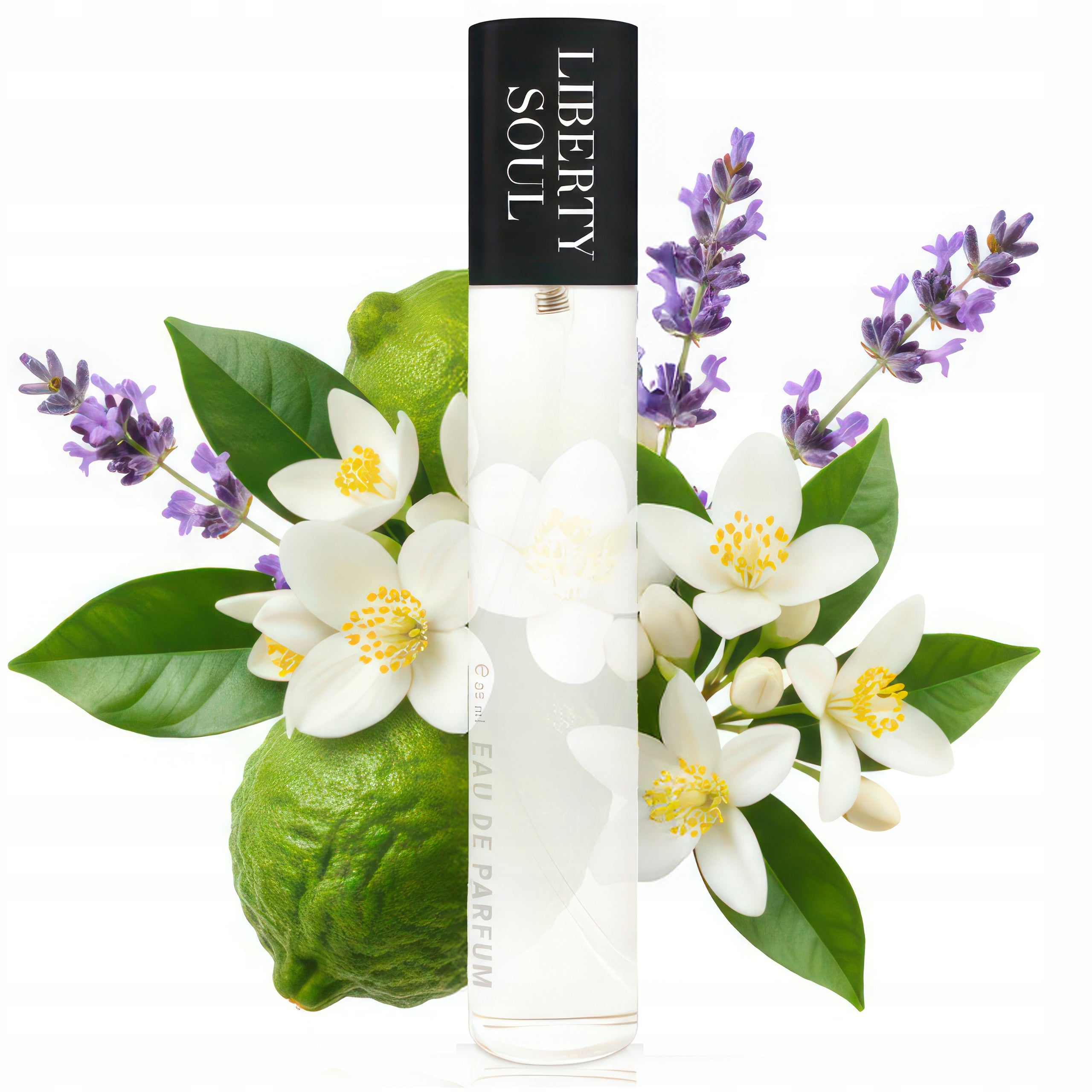 PERFUMES NAINA LIBEE SOUL BACKGROUND PERFUME 33ML 264 Brand no brand