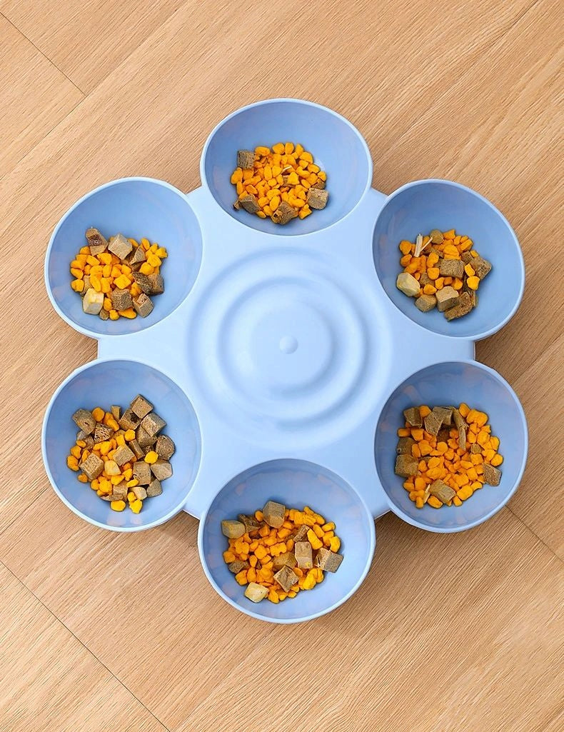 PET BOWL 6 PCS FOR WATER FOOD blue Brand no brand
