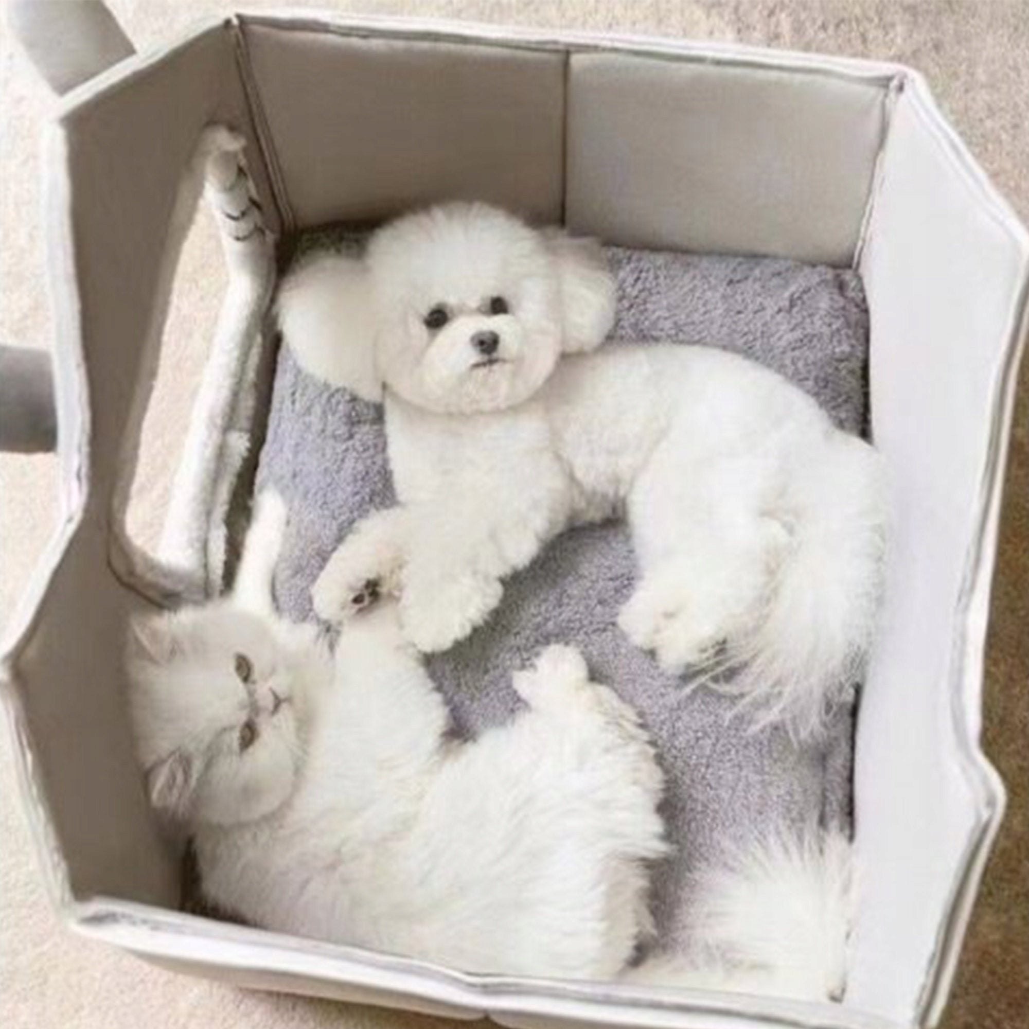 PET HOUSE CAT DOG BED BOOTH PLUSH BEDDING KENNEL Color gray