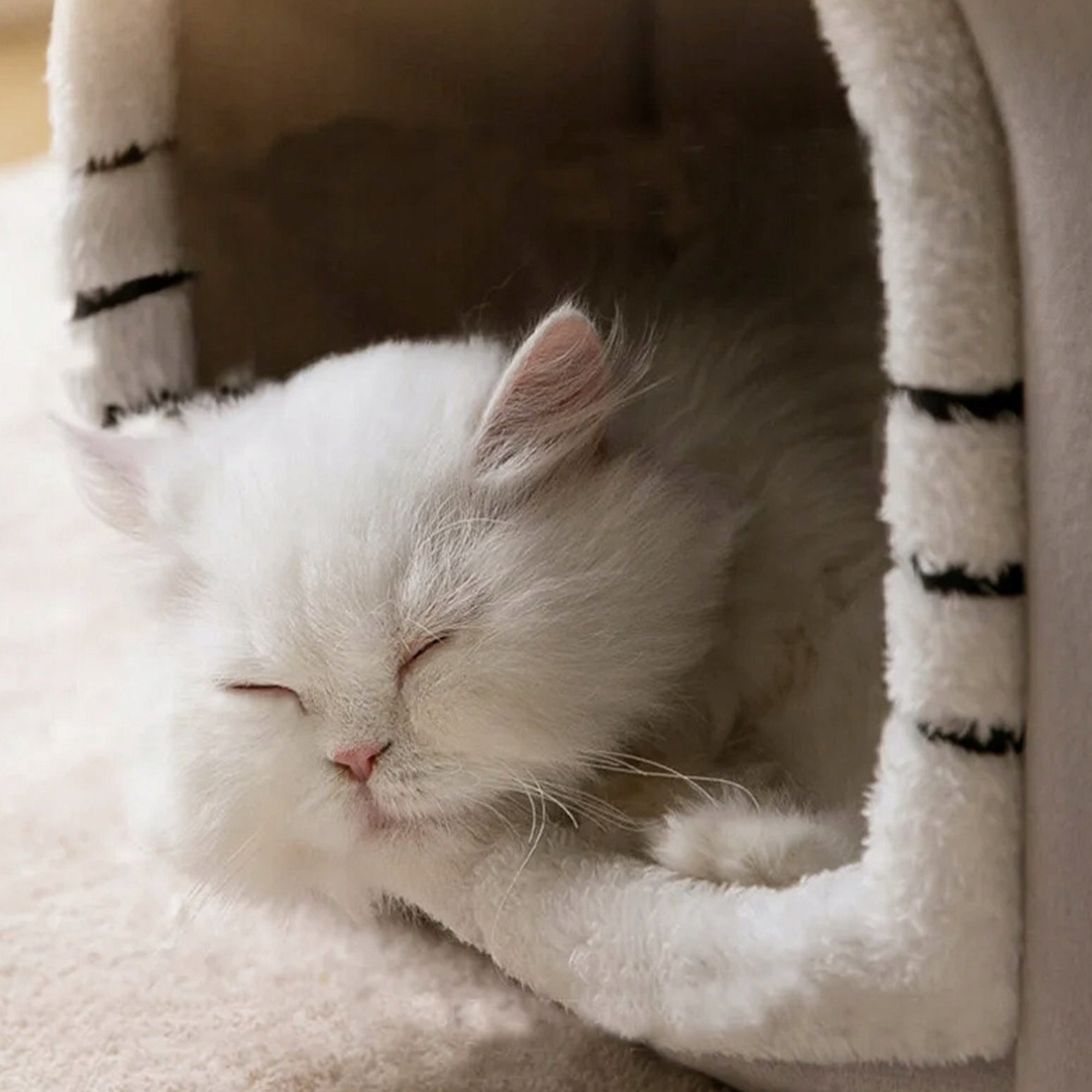 PET HOUSE CAT DOG BED BOOTH PLUSH BEDDING KENNEL Shape other