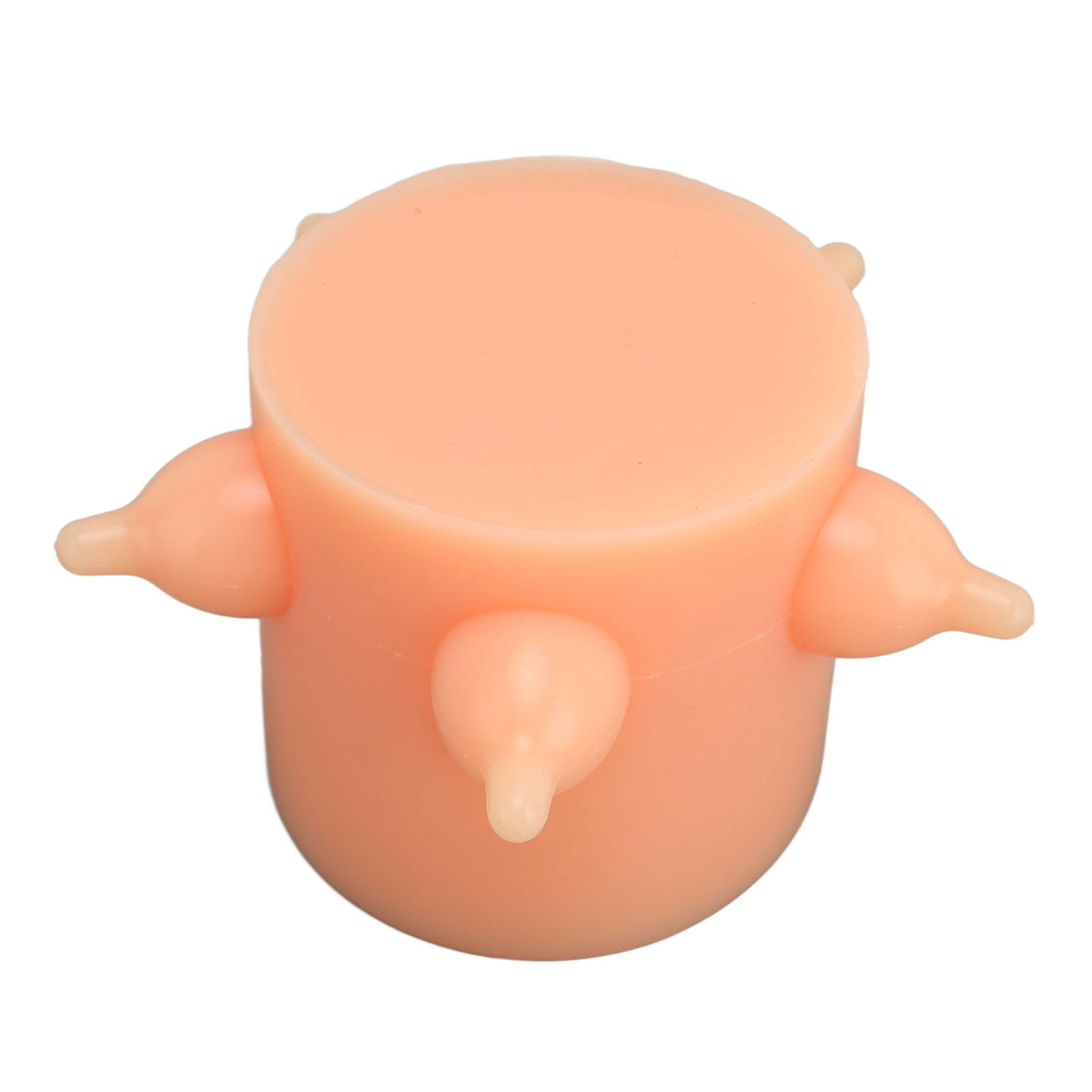 PET MILK FEEDER 5 SOFT SILICONE PACIFIERS Packaging status original