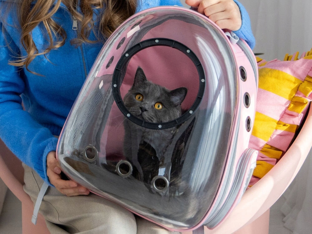PET TRANSPORTER PETIGIO PETI-TO-TRAVEL BACKPACK PETI 755-P Color pink