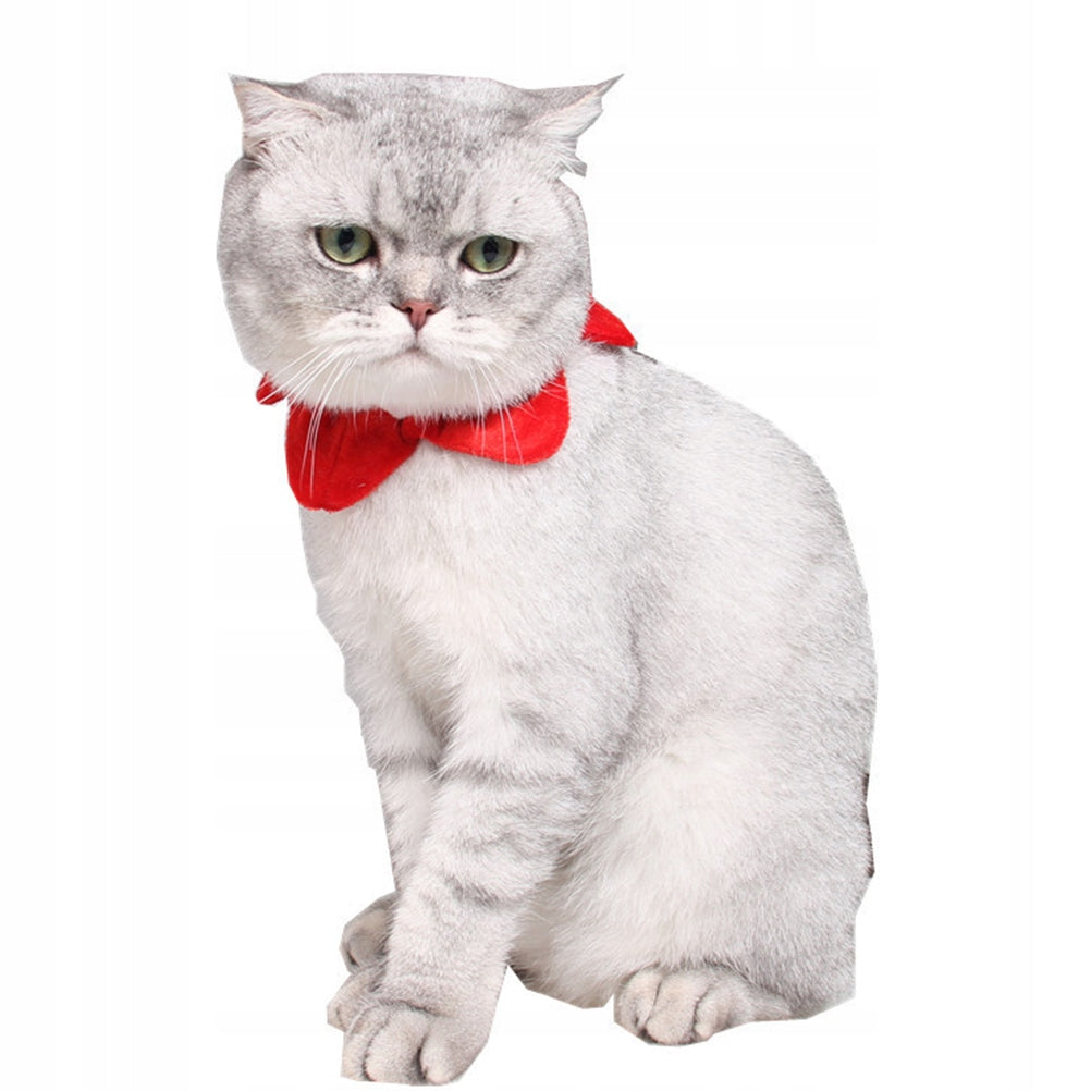 PET WINTER SOFT COLLAR Manufacturer code NA