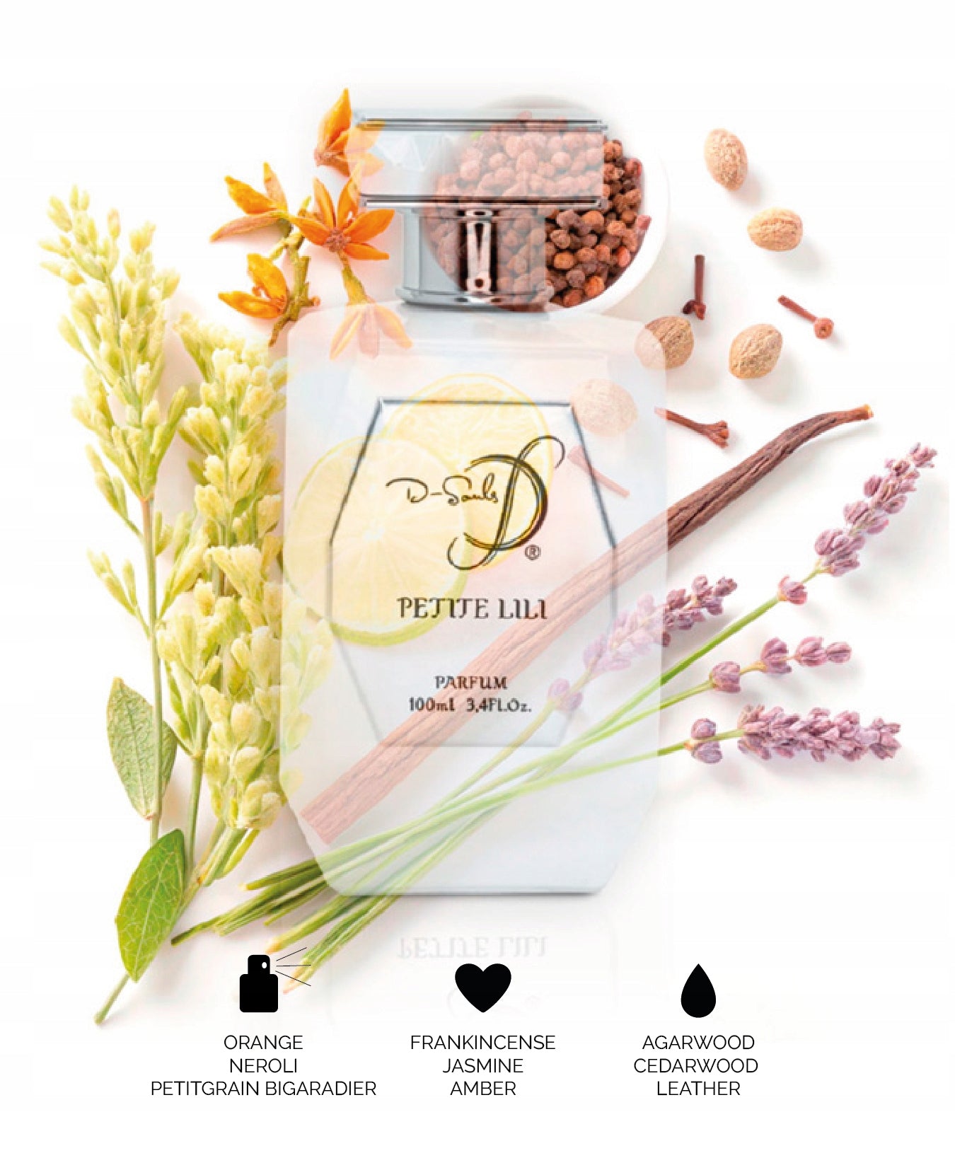 PETITE LILI by Daniel Josier Eau de Parfum 100ML EDP FINE LILI Brand no brand