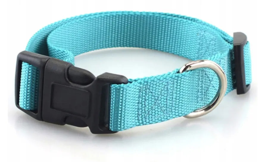 PETSTORY Belt Collar 40-55cm, Turquoise, Size L