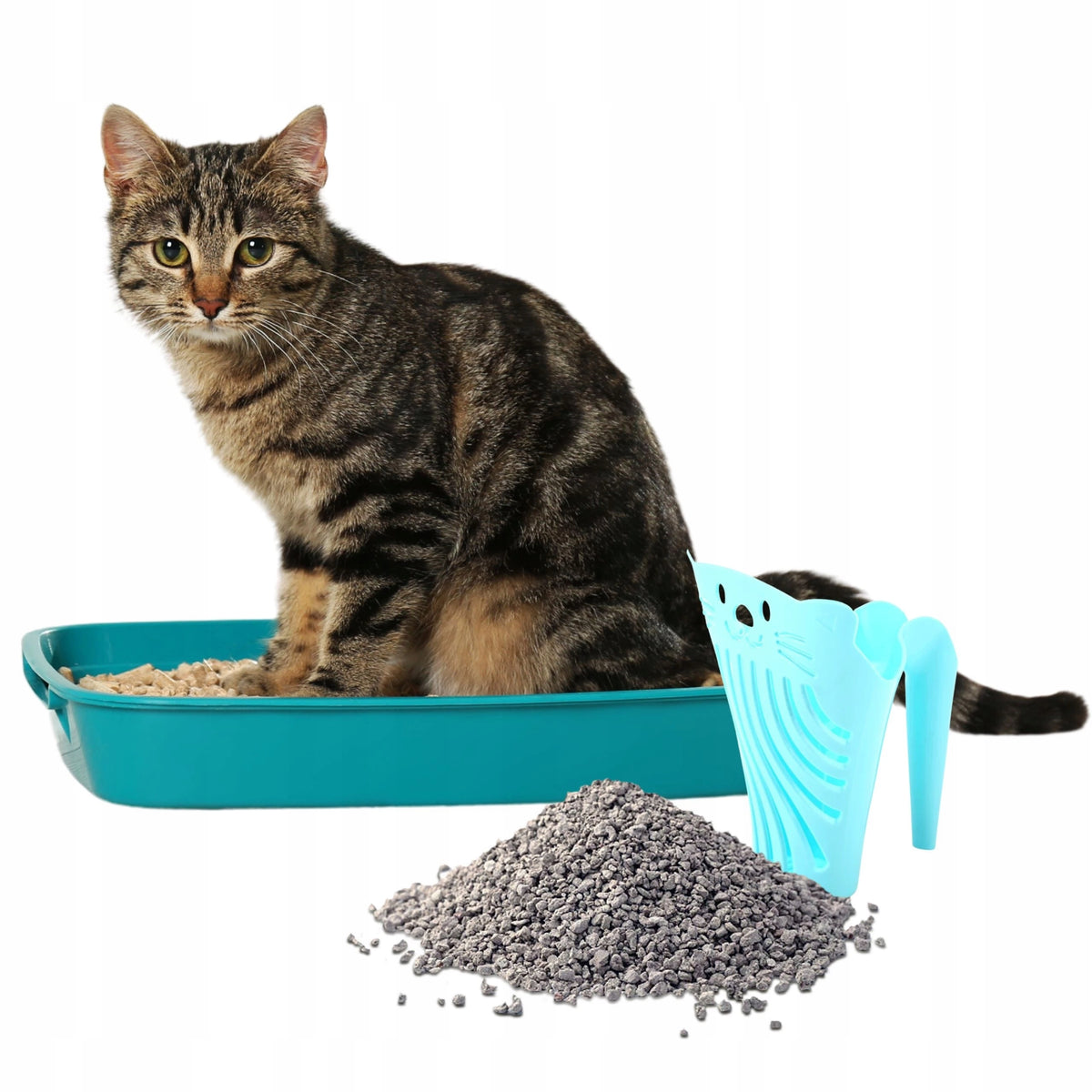 PETSTORY Container Convenient Litter Spatula for litter box cleaning Brand Petstory