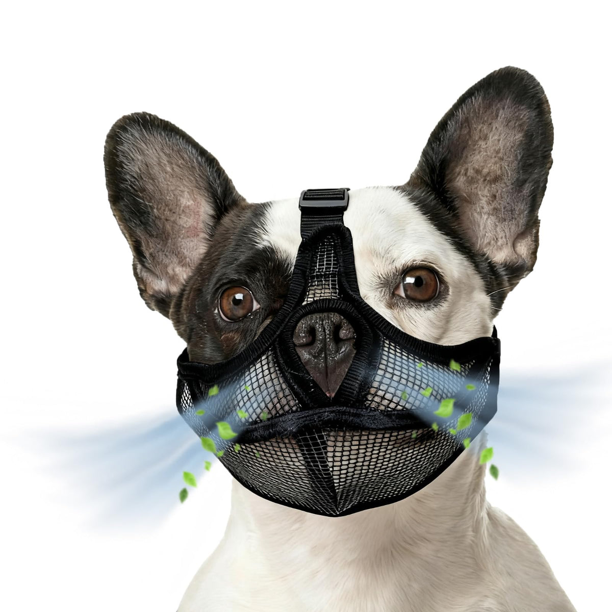 PHYSIOLOGICAL MUZZLE FOR DOG ADJUSTABLE COMFORTABLE SHORT MUZZLE BULLDOG PUG M Packaging status original