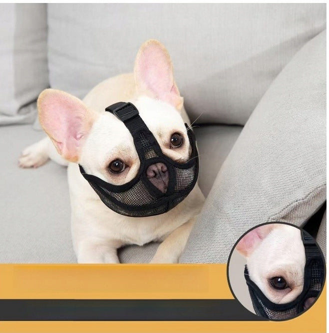PHYSIOLOGICAL MUZZLE FOR DOG ADJUSTABLE COMFORTABLE SHORT MUZZLE BULLDOG PUGS S Brand Reverse