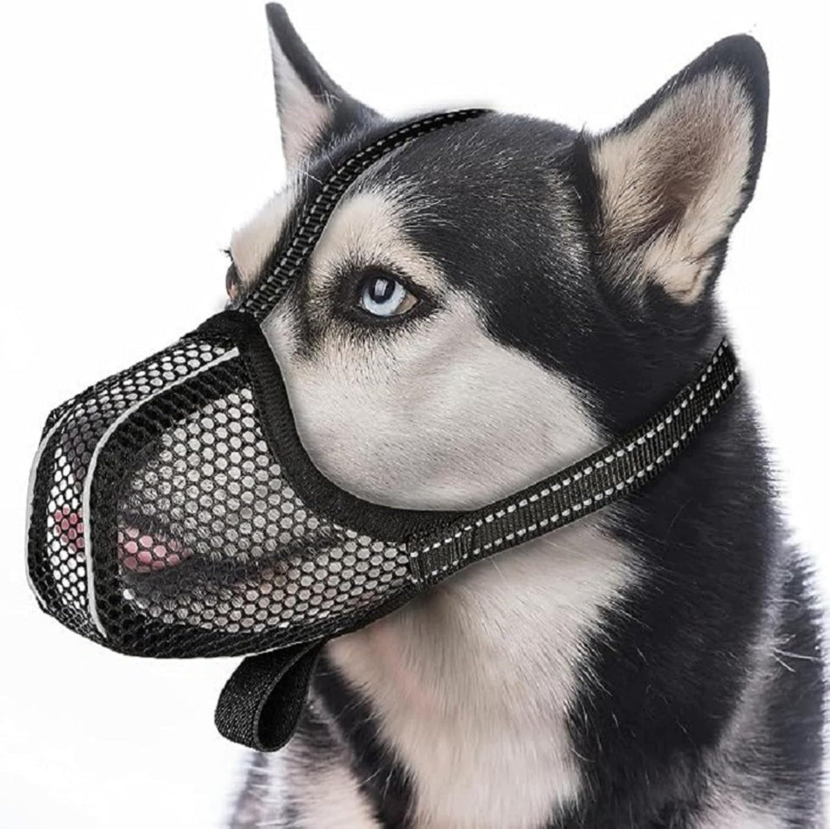 PHYSIOLOGICAL MUZZLE FOR DOG ADJUSTABLE LIGHTWEIGHT MATERIAL PLASTIC S Manufacturer code 7PTYQ5424-07
