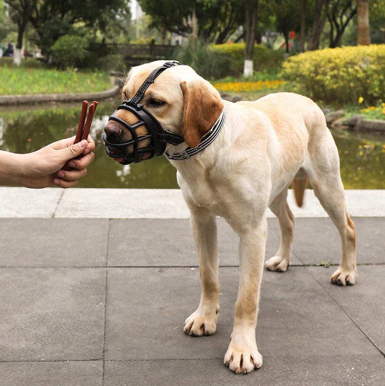 PHYSIOLOGICAL MUZZLE FOR DOG RUBBER ADJUSTABLE COMFORTABLE SIZE L EAN (GTIN) 5906022622426