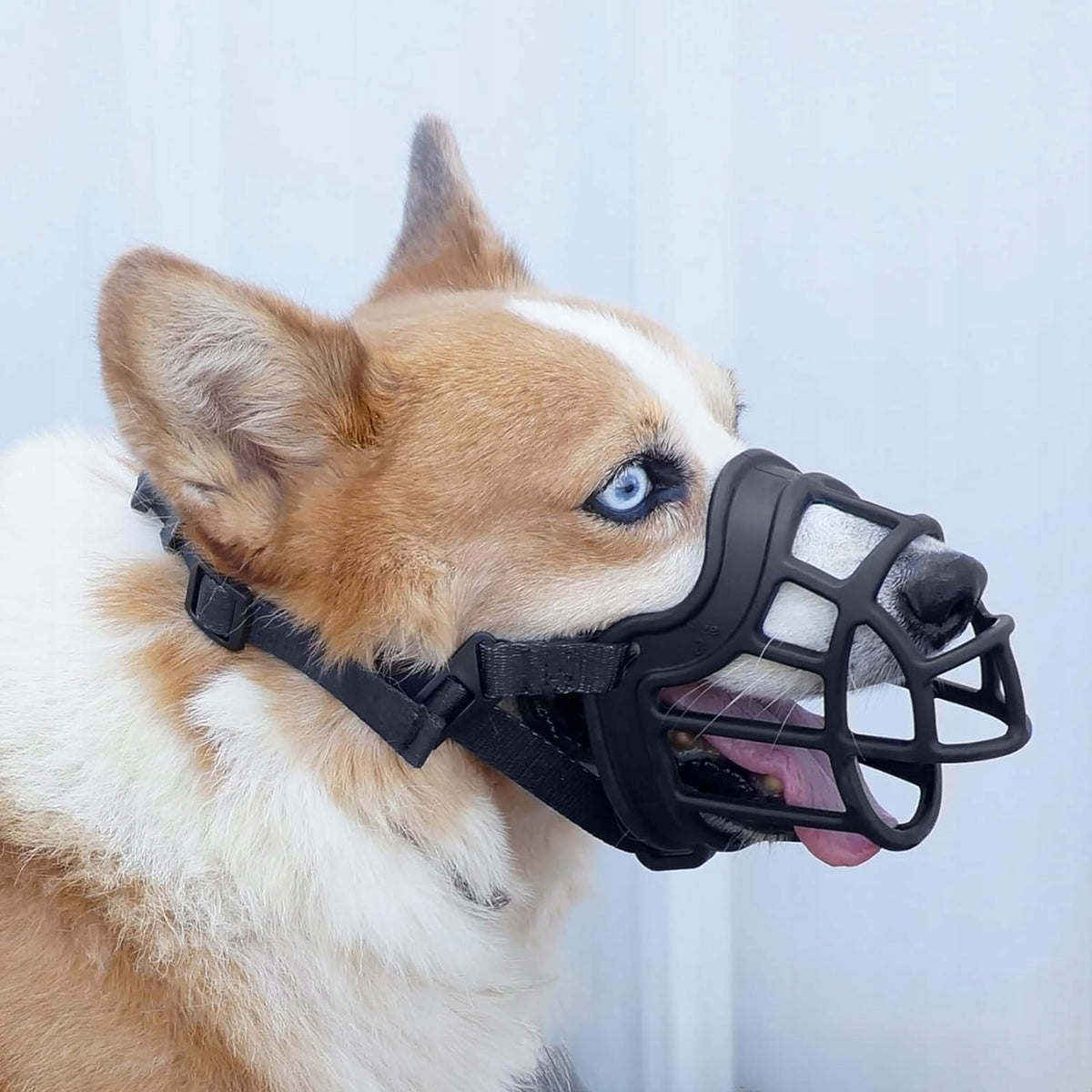 PHYSIOLOGICAL MUZZLE FOR DOG RUBBER COMFORTABLE SIZE M/L BLACK Brand no brand