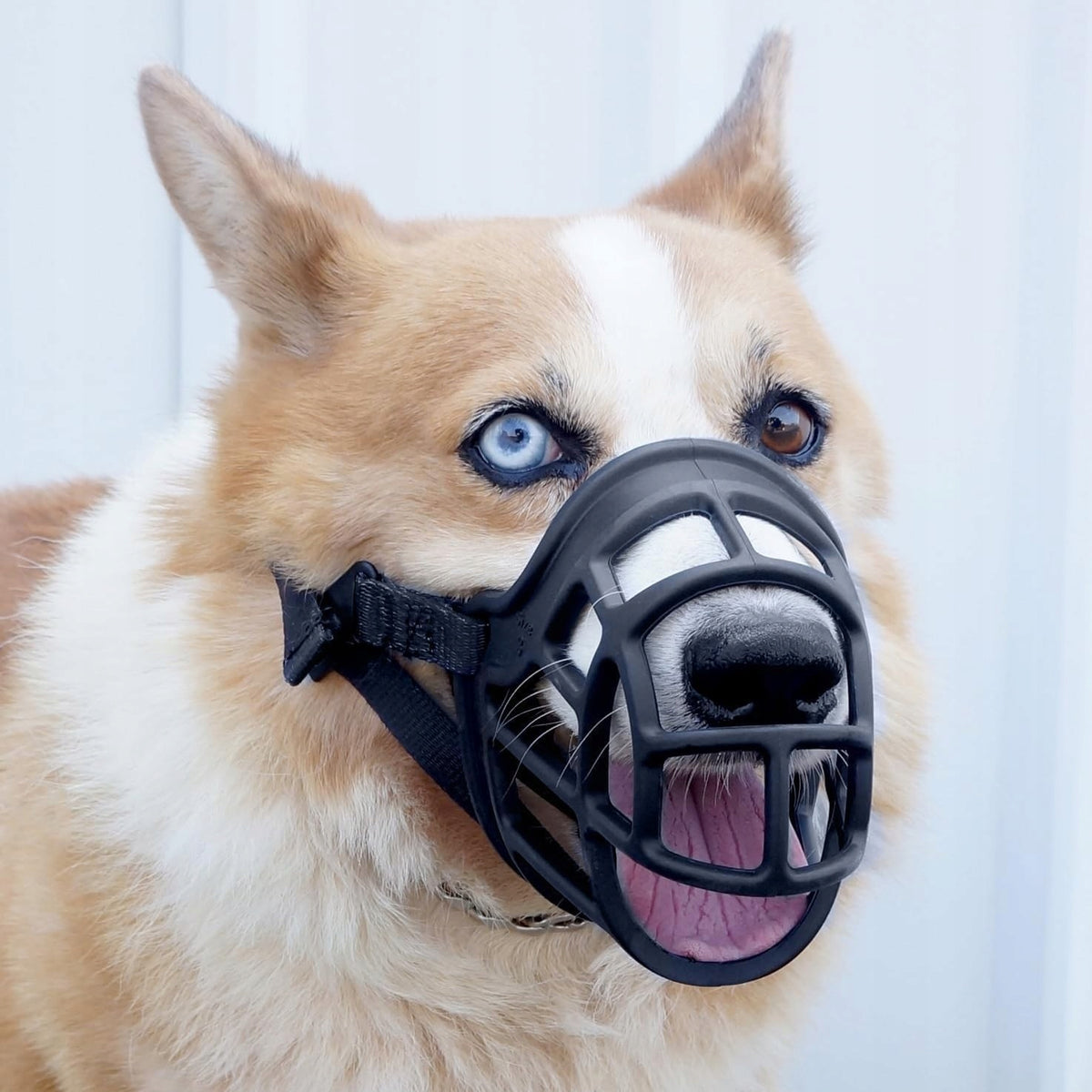 PHYSIOLOGICAL MUZZLE FOR DOG RUBBER COMFORTABLE SIZE M/L BLACK Manufacturer code 6914842120991